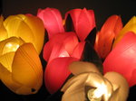 SX00024 Plastic tulip lights.jpg